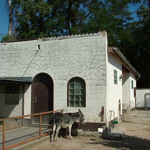 Farm Stables at Vogelpark Birkenheide, 6th Sept 2010