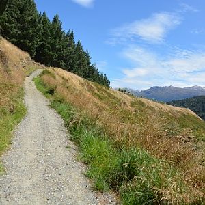 Walking track   NZ