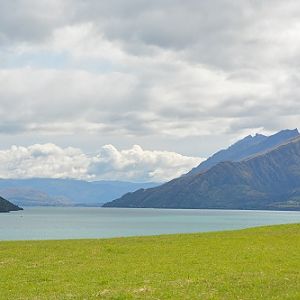 Lake scene   NZ