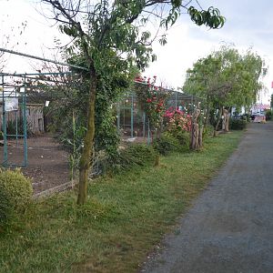 Aviaries