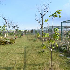 Carnovire exhibits for coatis, polar foxes and racoons