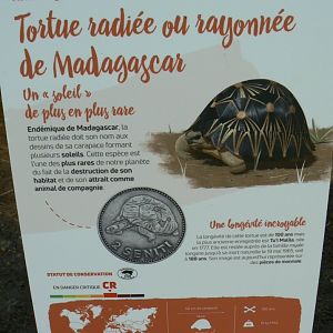 Tropical dome - Radiated tortoise signage