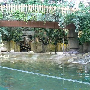 Tropical dome - First pygmy hippo enclosure