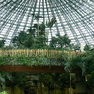 Tropical dome - First pygmy hippo enclosure