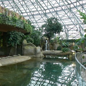 Tropical dome - Second pygmy hippo enclosure