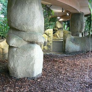 Tropical dome - Second pygmy hippo enclosure