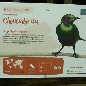 Tropical dome - Emerald starling signage