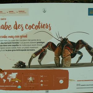 Tropical dome - Coconut crab signage (not seen)