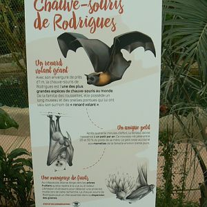 Tropical dome - Rodriguez flying fox signage