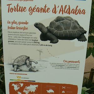 Tropical dome - Aldabra giant tortoise signage