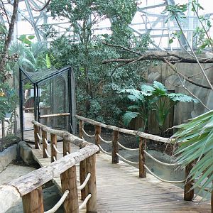 Tropical dome - Walkthrough aviary for Aldabra giant tortoises, rodriguez fruit bats and birds