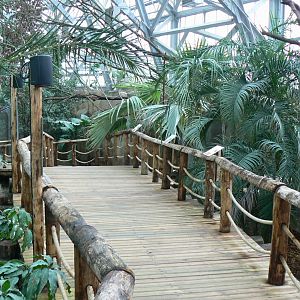 Tropical dome - Walkthrough aviary for Aldabra giant tortoises, rodriguez fruit bats and birds
