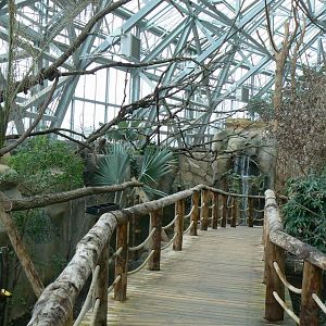 Tropical dome - Walkthrough aviary for Aldabra giant tortoises, rodriguez fruit bats and birds