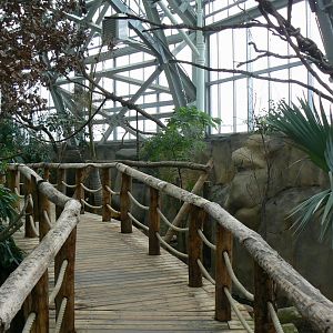 Tropical dome - Walkthrough aviary for Aldabra giant tortoises, rodriguez fruit bats and birds