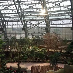 Tropical dome - Walkthrough aviary for Aldabr giant tortoises, rodriguez flying foxes and birds