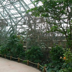 Tropical dome - Walkthrough aviary for Aldabr giant tortoises, rodriguez flying foxes and birds