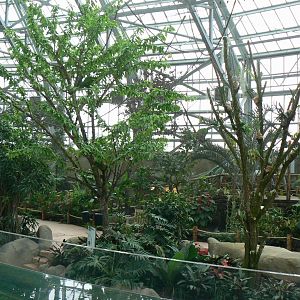 Tropical dome - Walkthrough aviary for Aldabr giant tortoises, rodriguez flying foxes and birds