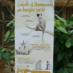 Tropical dome - Grey langurs Signage