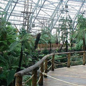 Tropical dome - Empty area for giant asian pond turtles and free-ranging birds