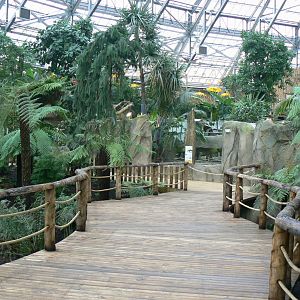 Tropical dome - Empty area for giant asian pond turtles and free-ranging birds