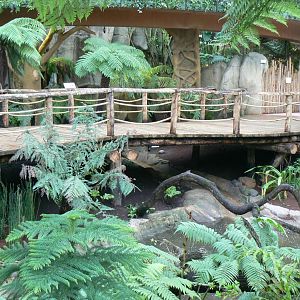 Tropical dome - Empty area for giant asian pond turtles and free-ranging birds
