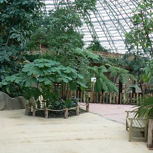Tropical dome - General view