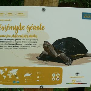 Tropical dome - Giant asian pond turtle signage