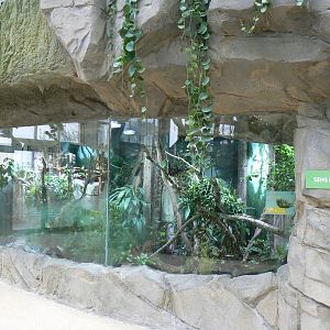 Tropical dome - Asian terrariums