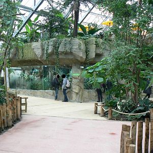 Tropical dome - Asian terrariums