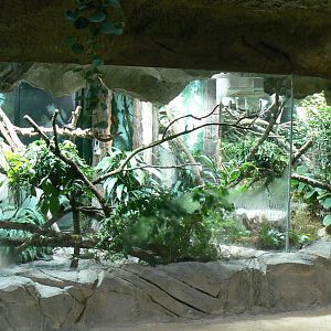 Tropical dome - Asian terrariums
