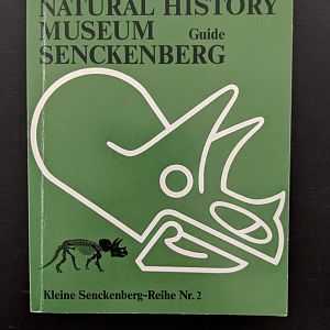 Natural History Museum Guide Senckenberg