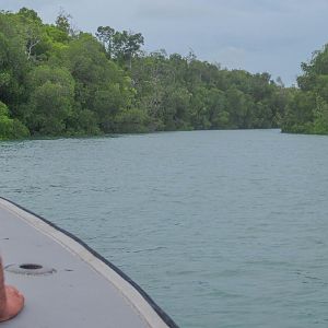 Entrance to a channel in the mangroves