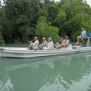 Birding in the mangroves