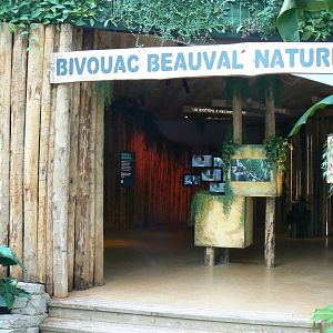 Tropical dome - Conservation Camp