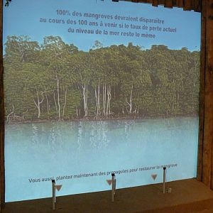 Tropical dome - Conservation Camp