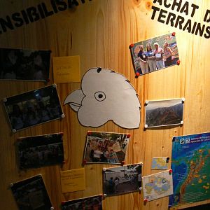 Tropical dome - Conservation Camp