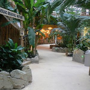 Tropical dome - Passage to the restaurant area with Conservation Camp on the left