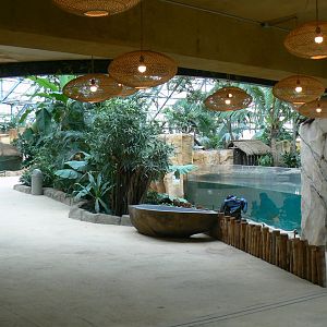 Tropical dome - View on the first false gharial enclosure (right) and the young (8) false gharials enclosure on the left