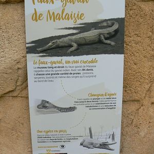Tropical dome - False gharial signage