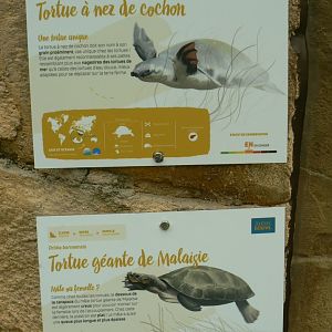 Tropical dome - Pig-nosed turtle and Malaysian giant pond turtle signages
