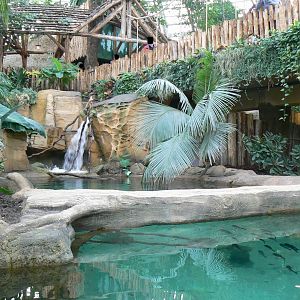 Tropical dome - First enclosure for false gharial