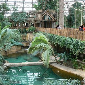Tropical dome - First enclosure for false gharial