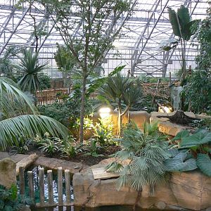 Tropical dome - View onto the two false gharials enclosures
