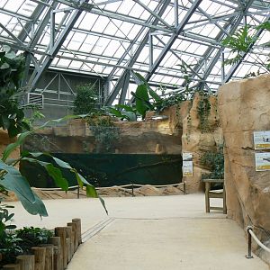 Tropical dome - Young false gharials (8) and southern river terrapins exhibit