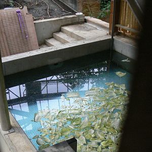 Tropical dome - Off-show third manatee pool for vet cares