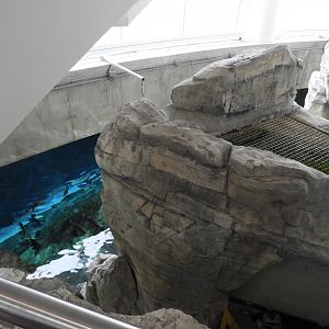 75,000 Gallon Lake Michigan Tank - Surface View - Reiman Aquarium