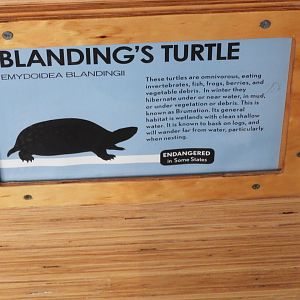 Great Lakes Future signage example