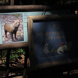 bush dog sign