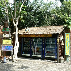 Indo-Pacific reptiles area setting