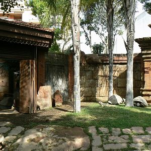 Galapagos giant tortoises and rhinoceros iguanas enclosure